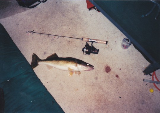 Fishing and More 2012_0001