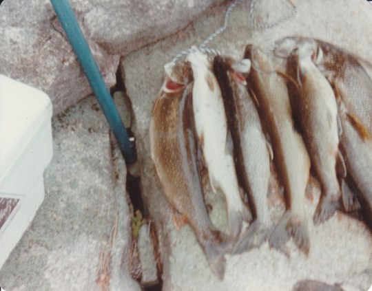 Fishing and More 2012_0005