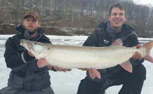 1501705_955546764457483_7198101791339994292_n